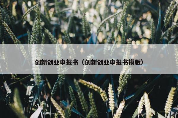 创新创业申报书（创新创业申报书模版）
