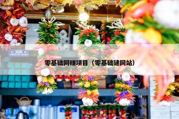 零基础网赚项目（零基础建网站）