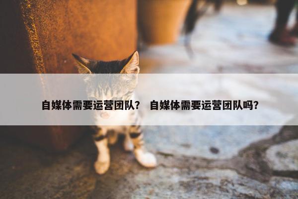自媒体需要运营团队？ 自媒体需要运营团队吗？