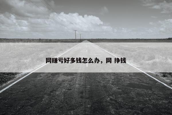 网赚亏好多钱怎么办，网 挣钱