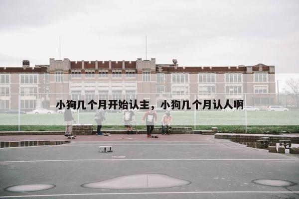 小狗几个月开始认主，小狗几个月认人啊
