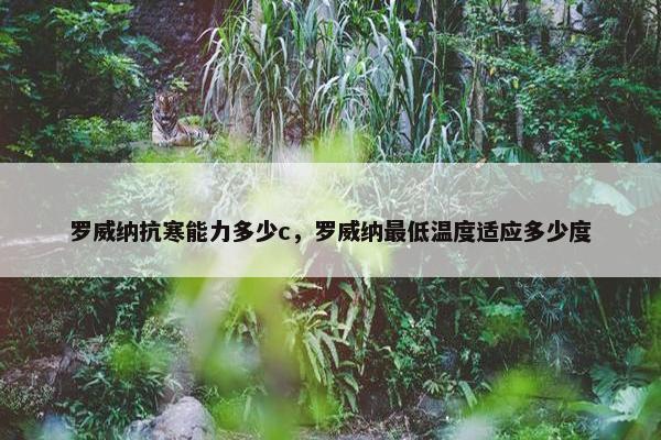 罗威纳抗寒能力多少c，罗威纳最低温度适应多少度