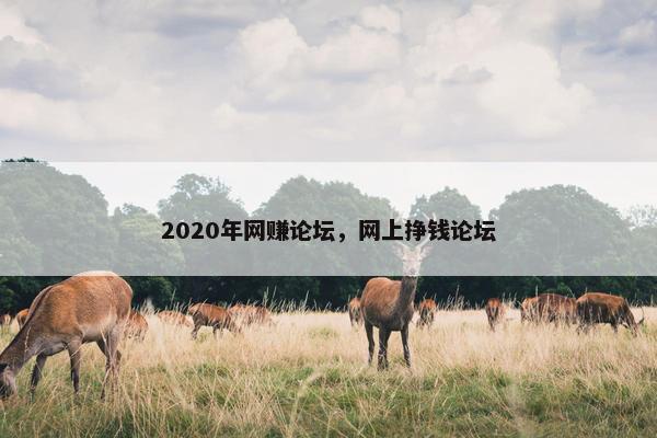 2020年网赚论坛，网上挣钱论坛