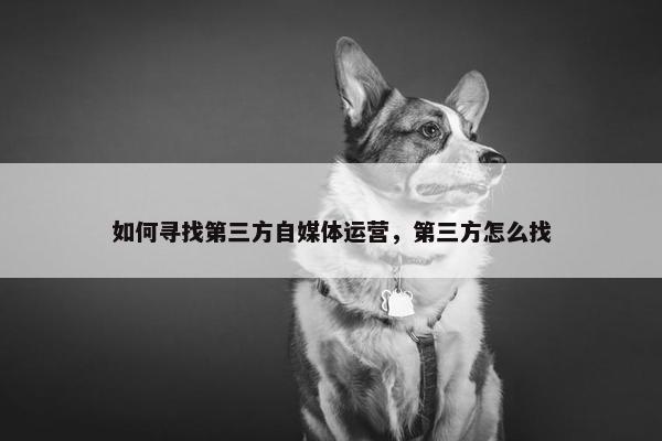 如何寻找第三方自媒体运营，第三方怎么找
