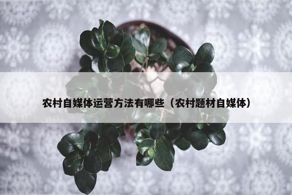 农村自媒体运营方法有哪些（农村题材自媒体）