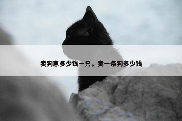 卖狗崽多少钱一只，卖一条狗多少钱