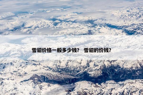 雪貂价格一般多少钱？ 雪貂的价钱？