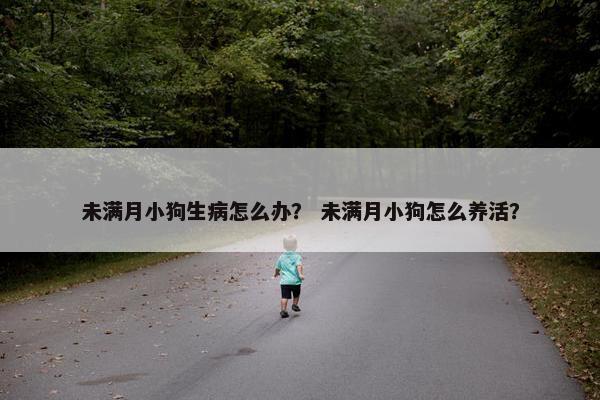 未满月小狗生病怎么办？ 未满月小狗怎么养活？