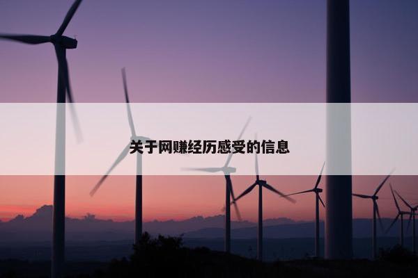 关于网赚经历感受的信息