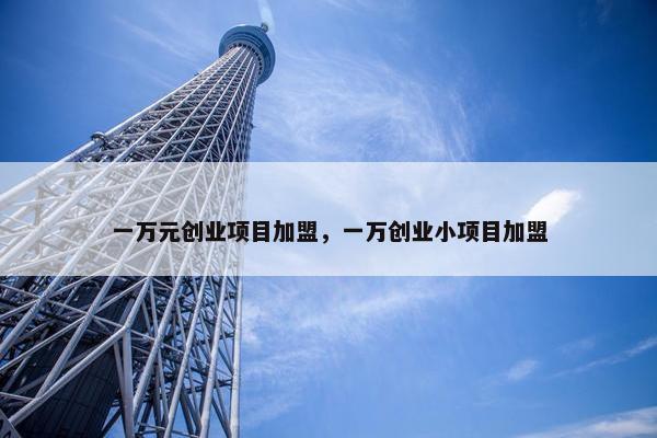 一万元创业项目加盟，一万创业小项目加盟