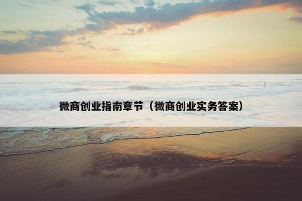 微商创业指南章节（微商创业实务答案）