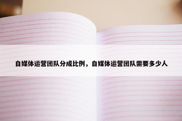 自媒体运营团队分成比例，自媒体运营团队需要多少人