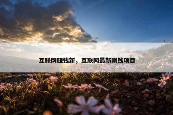 互联网赚钱新，互联网最新赚钱项目