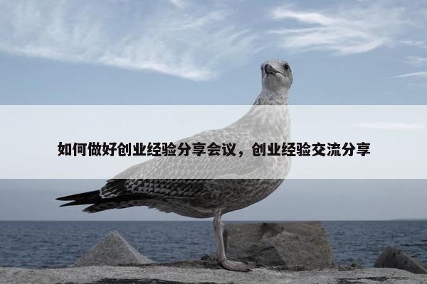 如何做好创业经验分享会议，创业经验交流分享