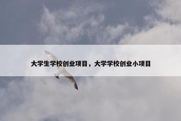 大学生学校创业项目，大学学校创业小项目