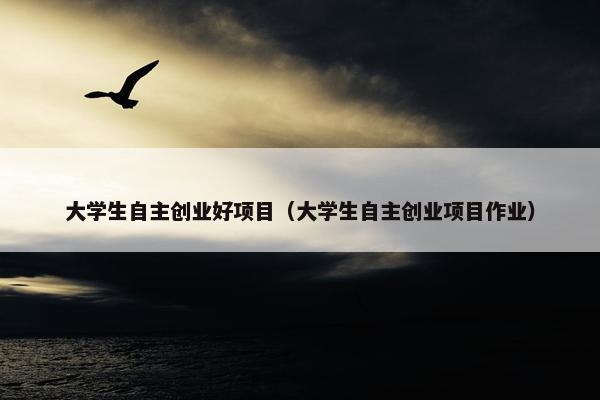 大学生自主创业好项目（大学生自主创业项目作业）