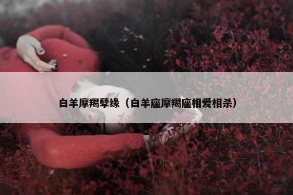 白羊摩羯孽缘（白羊座摩羯座相爱相杀）