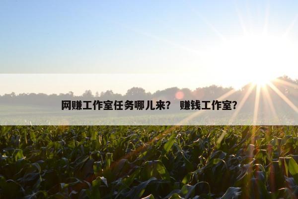 网赚工作室任务哪儿来？ 赚钱工作室？
