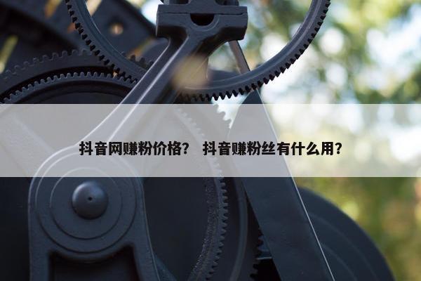 抖音网赚粉价格？ 抖音赚粉丝有什么用？