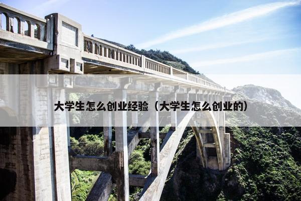 大学生怎么创业经验（大学生怎么创业的）