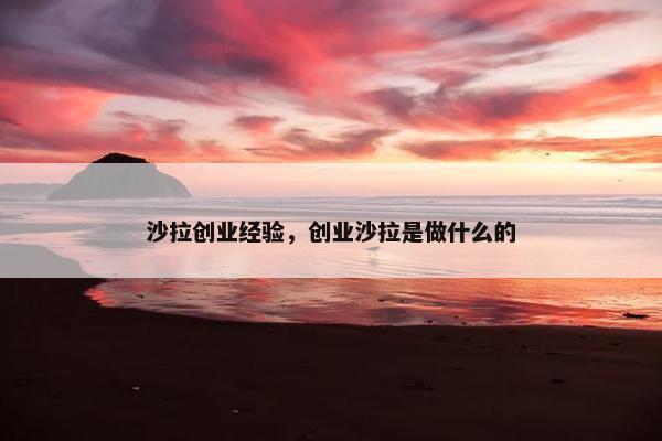沙拉创业经验，创业沙拉是做什么的