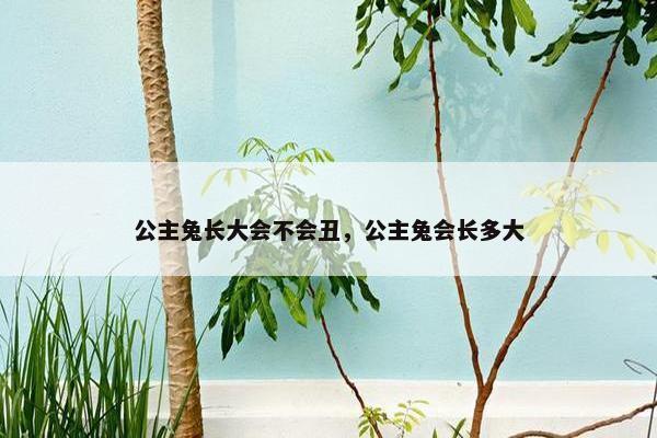 公主兔长大会不会丑，公主兔会长多大