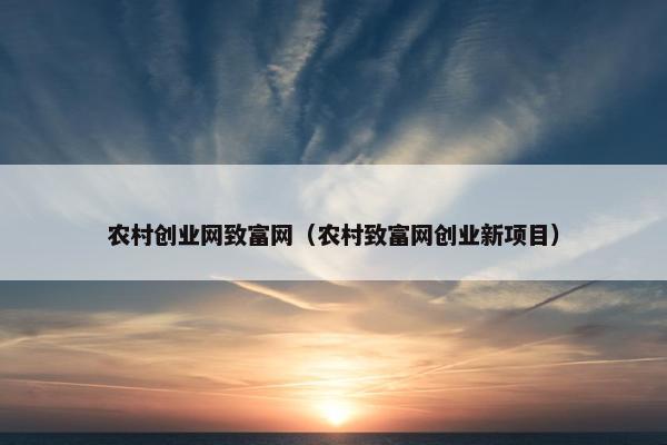 农村创业网致富网（农村致富网创业新项目）