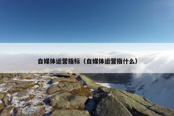 自媒体运营指标（自媒体运营指什么）