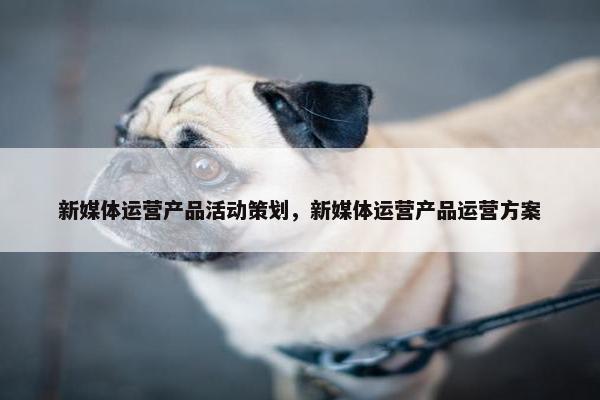 新媒体运营产品活动策划，新媒体运营产品运营方案