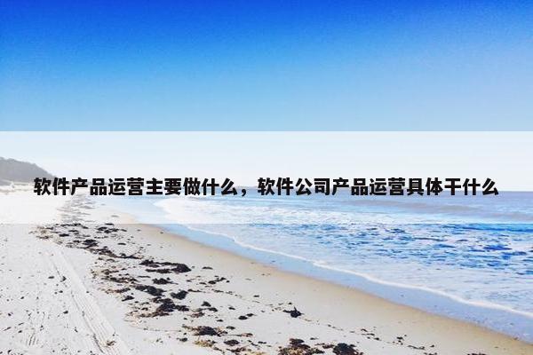 软件产品运营主要做什么，软件公司产品运营具体干什么