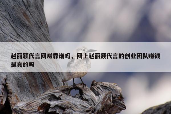 赵丽颖代言网赚靠谱吗，网上赵丽颖代言的创业团队赚钱是真的吗