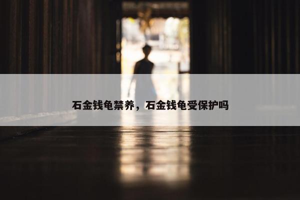 石金钱龟禁养，石金钱龟受保护吗