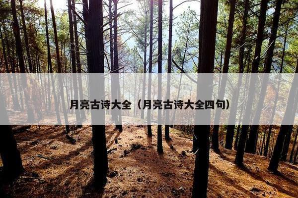 月亮古诗大全（月亮古诗大全四句）