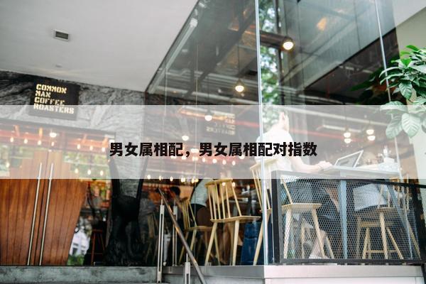 男女属相配，男女属相配对指数
