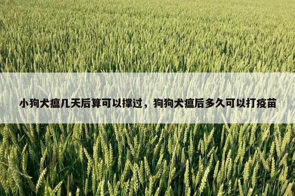 小狗犬瘟几天后算可以撑过，狗狗犬瘟后多久可以打疫苗