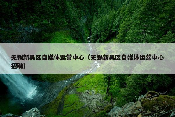 无锡新吴区自媒体运营中心（无锡新吴区自媒体运营中心招聘）