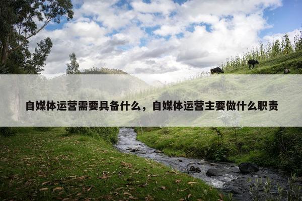 自媒体运营需要具备什么，自媒体运营主要做什么职责