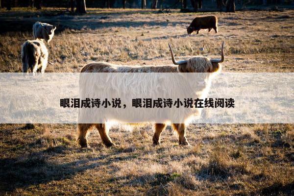 眼泪成诗小说，眼泪成诗小说在线阅读