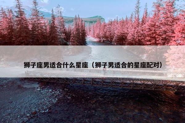 狮子座男适合什么星座（狮子男适合的星座配对）