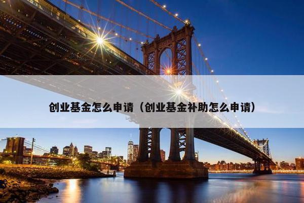 创业基金怎么申请（创业基金补助怎么申请）