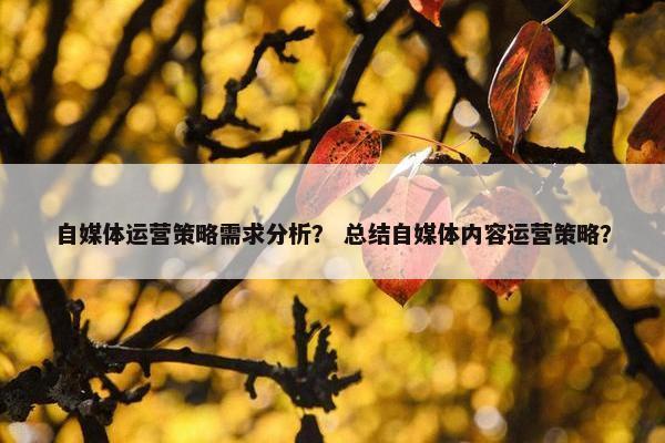 自媒体运营策略需求分析？ 总结自媒体内容运营策略？