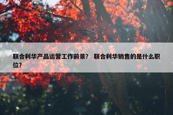 联合利华产品运营工作前景？ 联合利华销售的是什么职位？