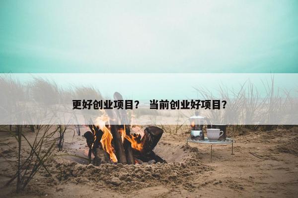 更好创业项目？ 当前创业好项目？