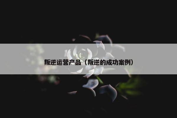 叛逆运营产品（叛逆的成功案例）
