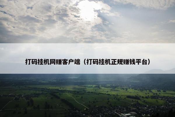 打码挂机网赚客户端（打码挂机正规赚钱平台）