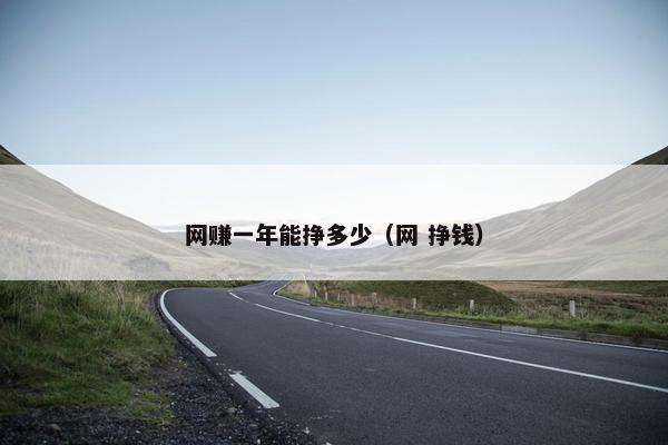网赚一年能挣多少（网 挣钱）