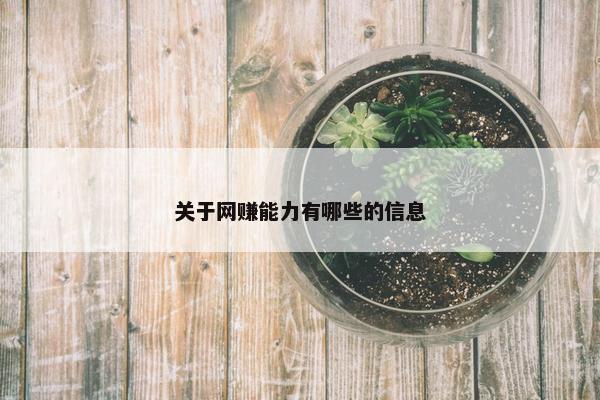 关于网赚能力有哪些的信息