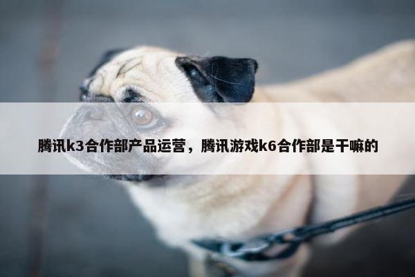 腾讯k3合作部产品运营，腾讯游戏k6合作部是干嘛的