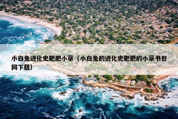 小白兔进化史肥肥小草（小白兔的进化史肥肥的小草书包网下载）