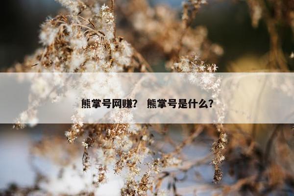 熊掌号网赚？ 熊掌号是什么？